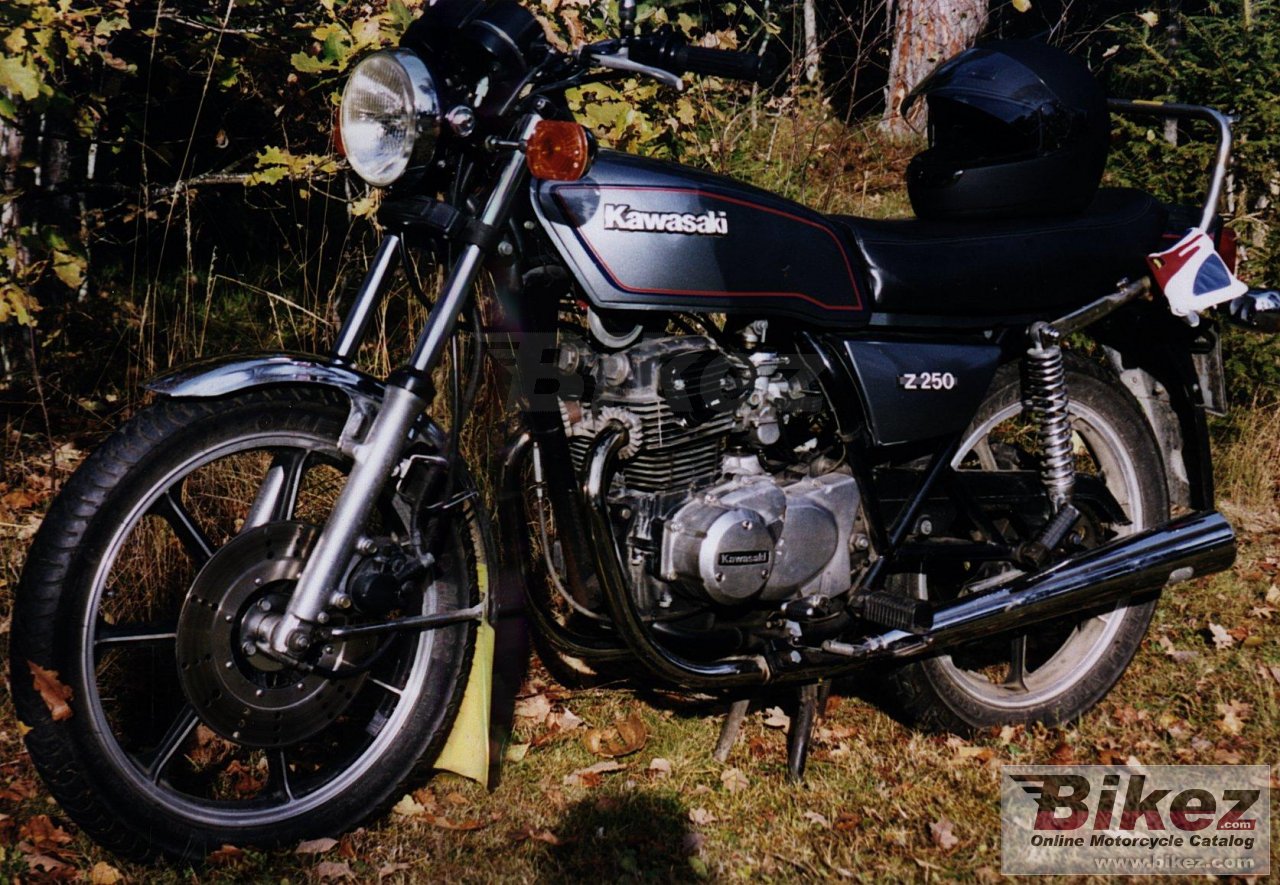 Big Stanislaw Stechman z 250 a picture and wallpaper from Bikez.com